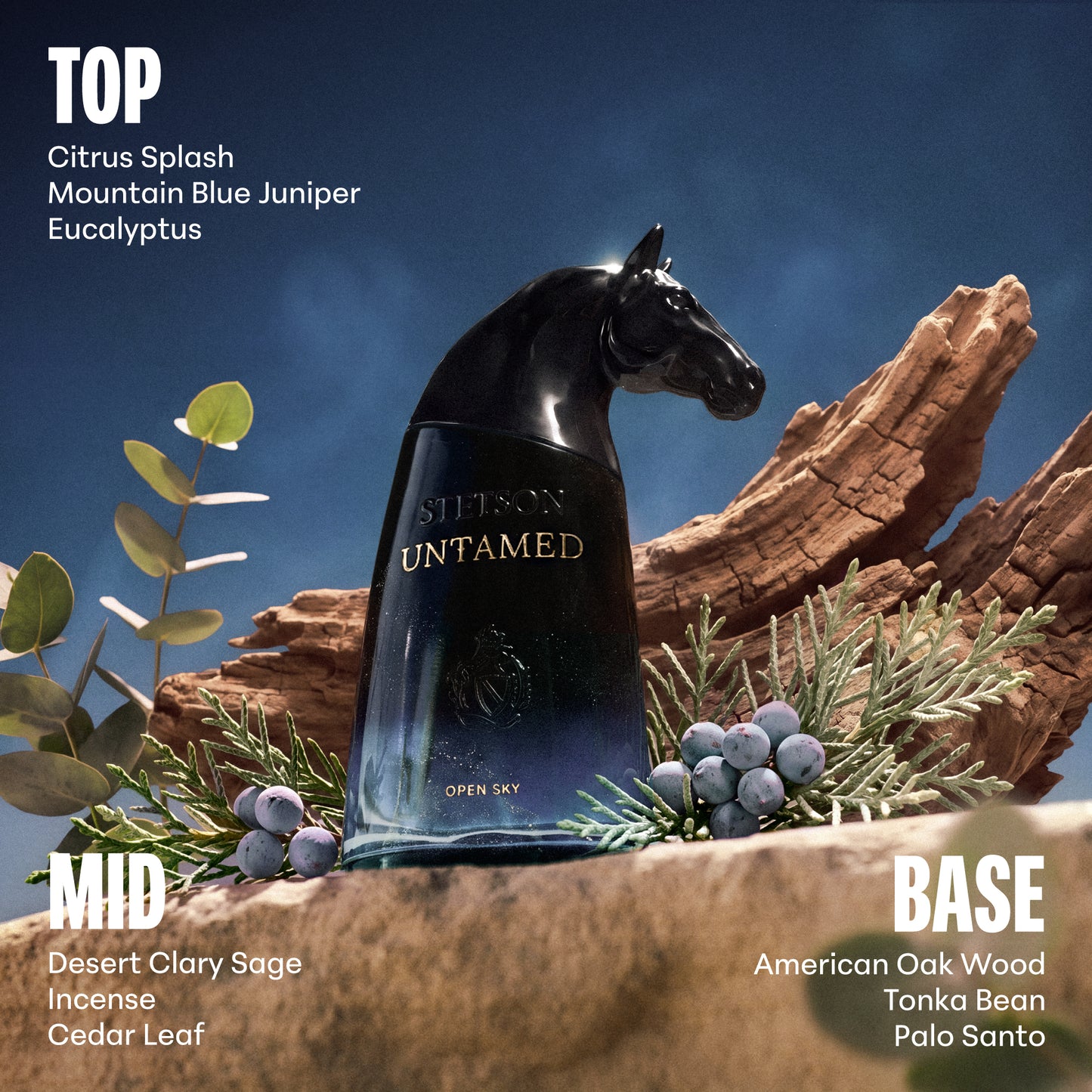 STETSON UNTAMED: OPEN SKY EAU DE PARUM