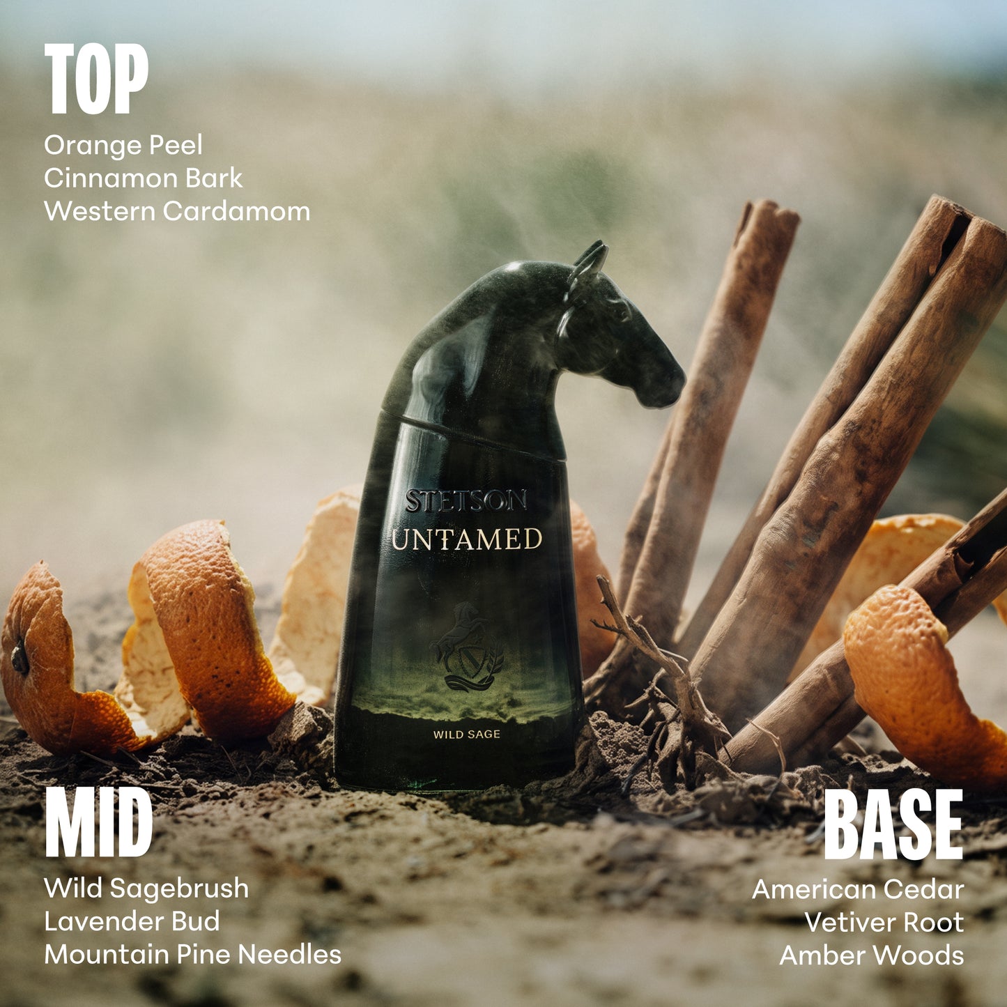 STETSON UNTAMED: WILD SAGE EAU DE PARUM