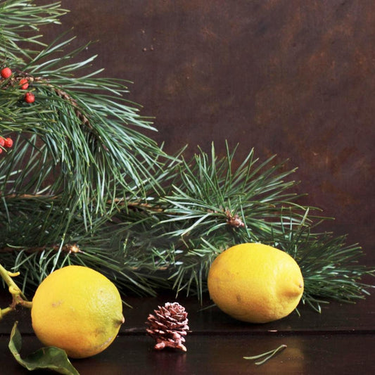 Pine & Lemon: Strange Scentfellows - SCENT BEAUTY