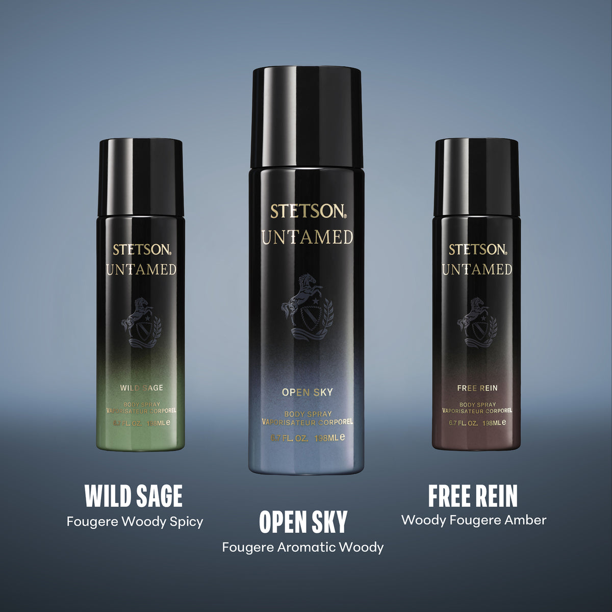 STETSON UNTAMED: OPEN SKY BODY SPRAY