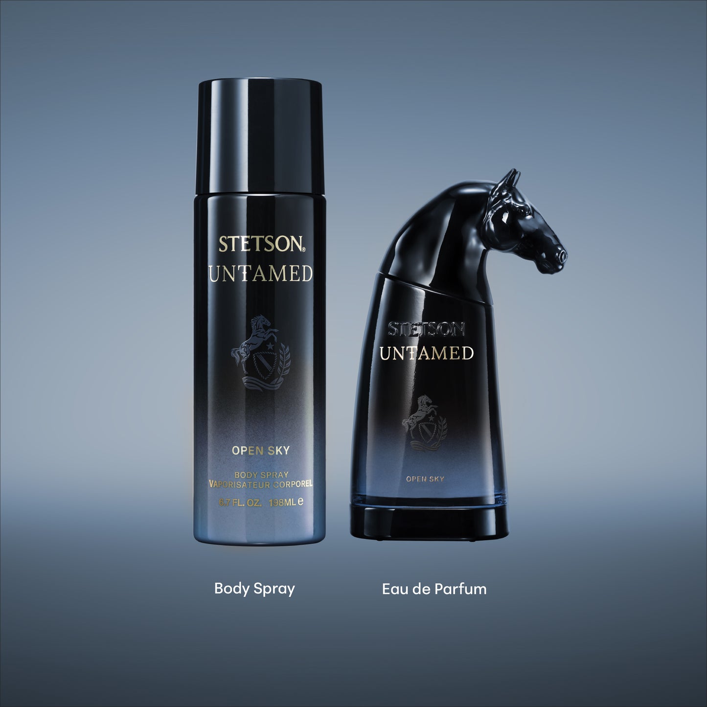 STETSON UNTAMED: OPEN SKY EAU DE PARUM