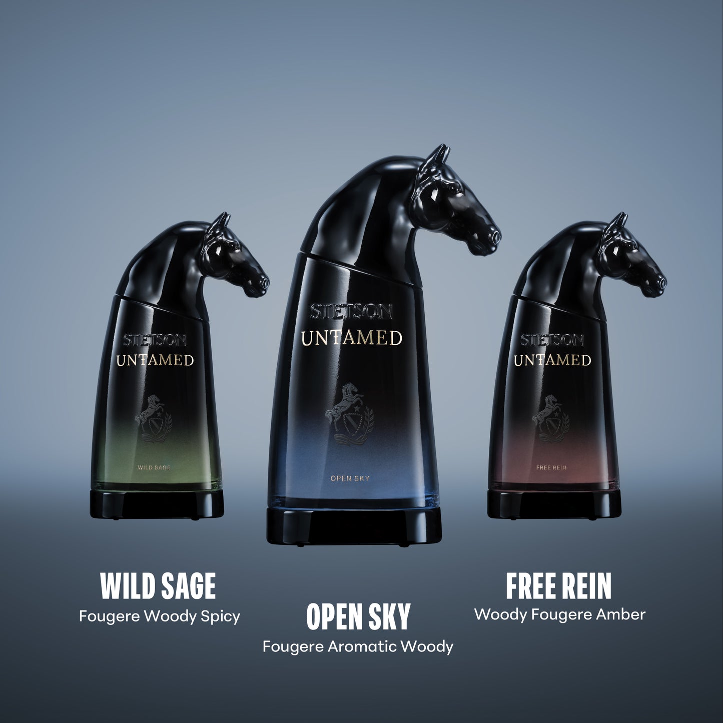 STETSON UNTAMED: OPEN SKY EAU DE PARUM