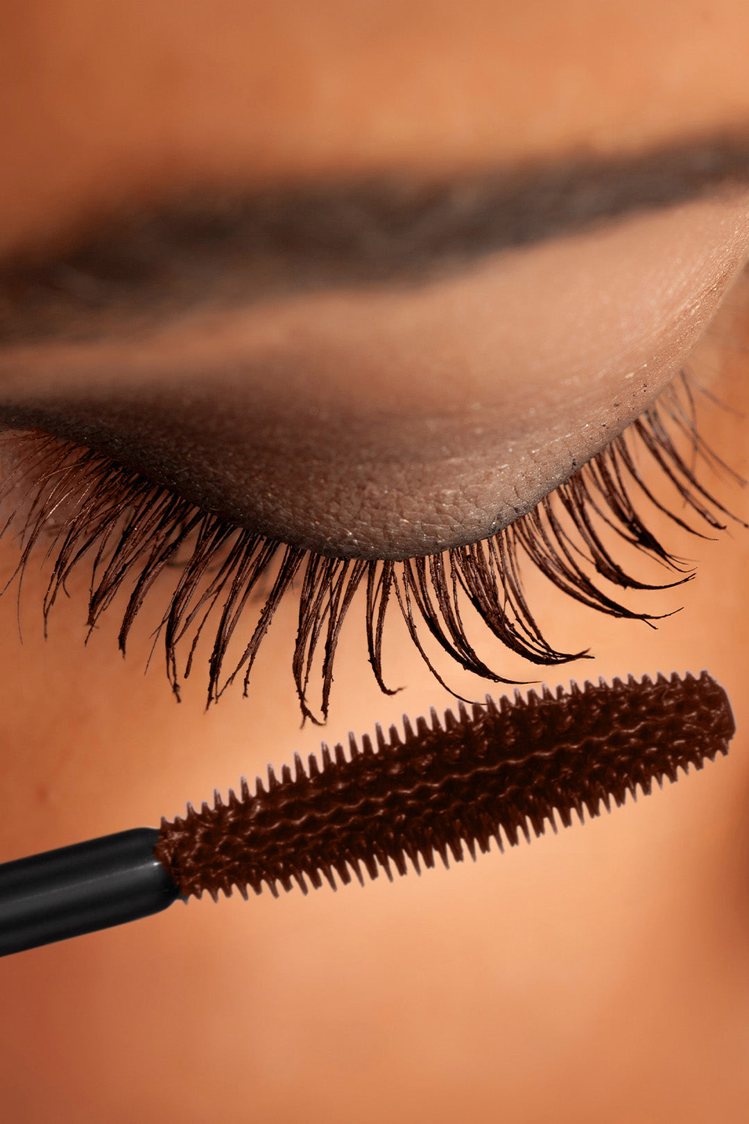 Cream and Sugar Collection