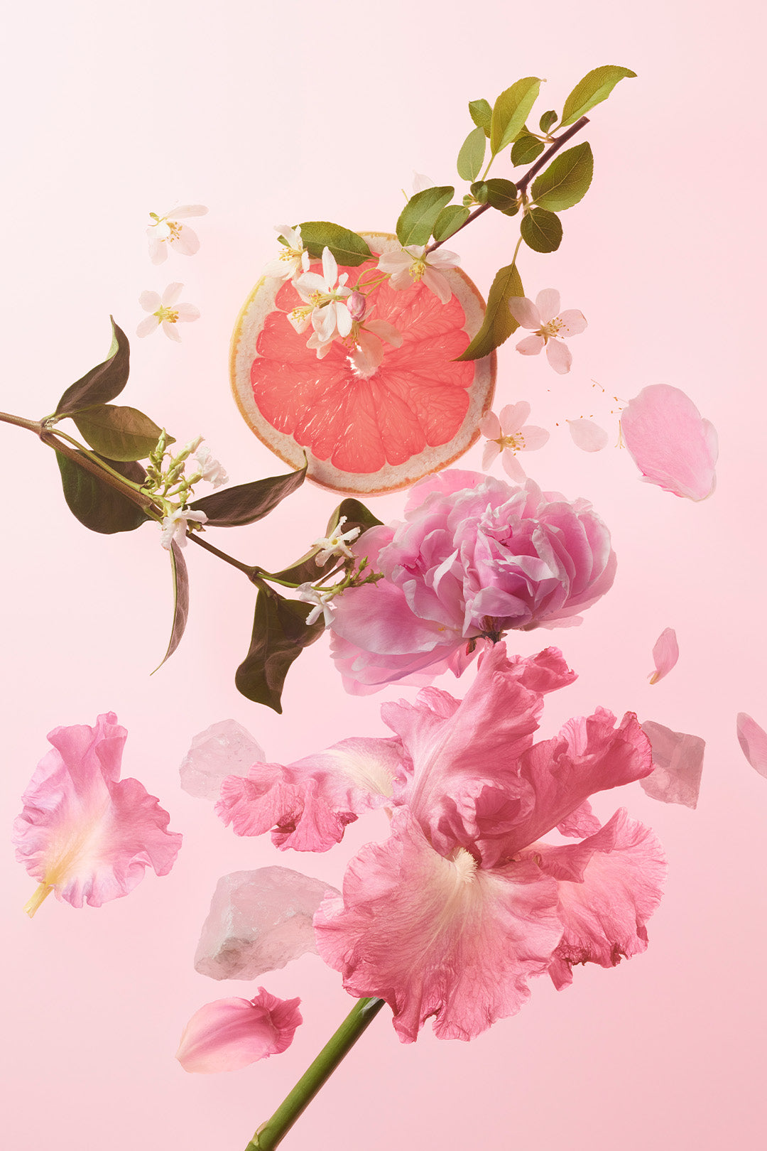 Calliope Eau de Parfum