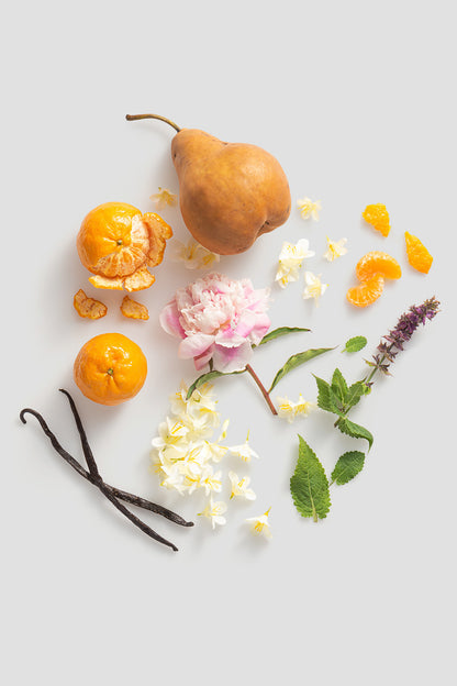 SCENT FROM ABOVE HOLIDAY SET