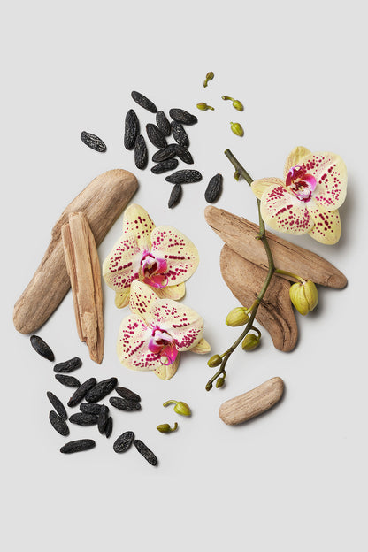 SMOKY MOUNTAIN HOLIDAY SET